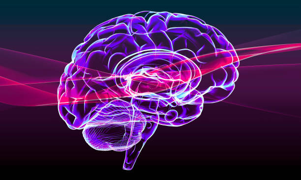 What is a Brain Zap Revealed